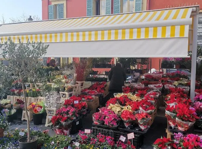 Vieux S Апартаменты Ницца