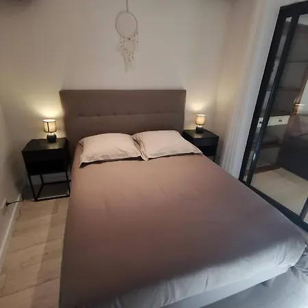 Vieux S 尼斯